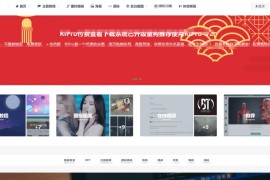 Ripro-v5 6.4日主题-wordpress-2024最新版