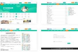 精巧简洁做文范文网站源码 易优CMS模板